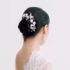 Rambling Rose Bridal Hairvine. A woman looks away from the camera. She has dark hair, in a neat bun, and a floral bridal hair vine decorating the hair. She wears a lace wedding dress.